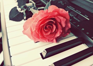 rose_piano_by_deeld-d5bggrf