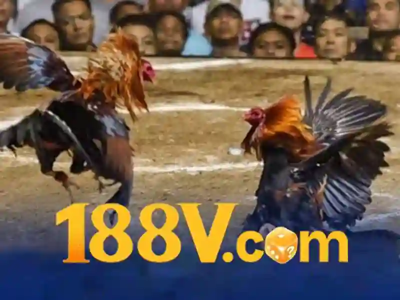 188v .com – chủ đề tổng quan và giá trị cốt lõi