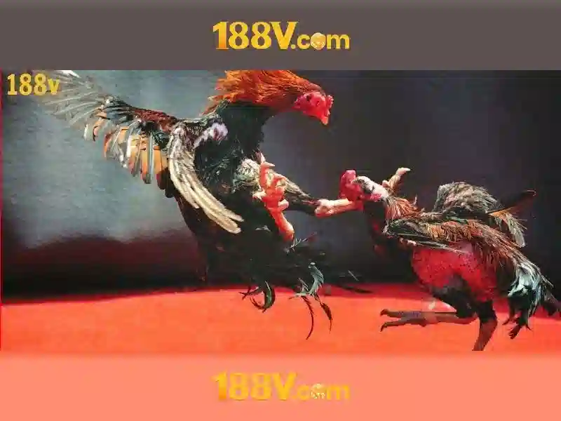 Mẹo chơi bắn cá 3 cây dễ ăn tiền nhà cái