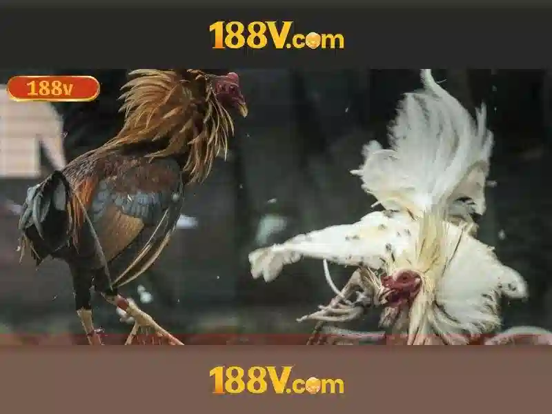 Tóm tắt và lời mời trải nghiệm