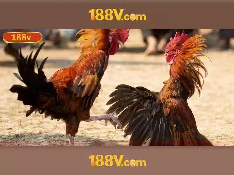Ung dung va thach thuc\n<h>Ket luan ve 188v</h>\n<p><span style=