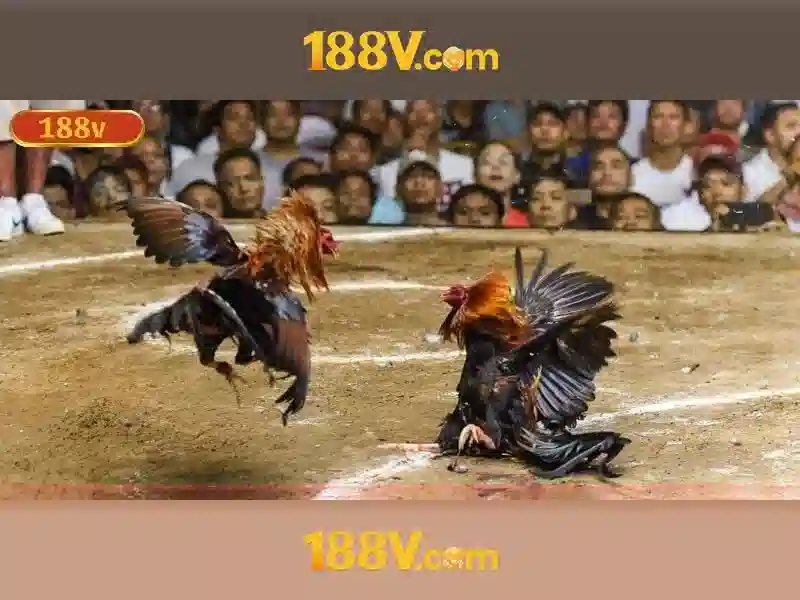 Mẹo chơi bắn cá 3 cây dễ ăn tiền nhà cái