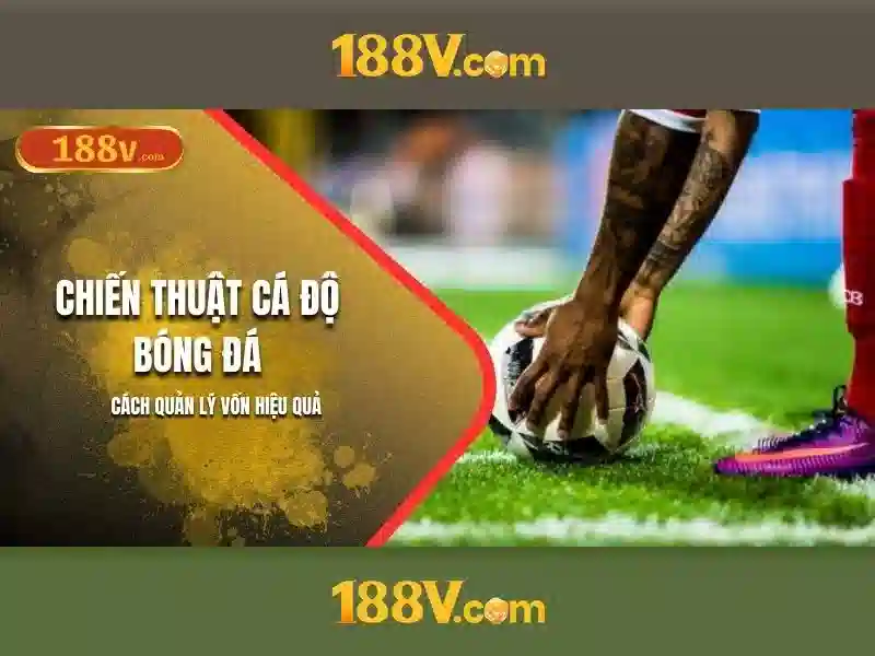 Ứng dụng của 188v trong thiết kế và âm thanh