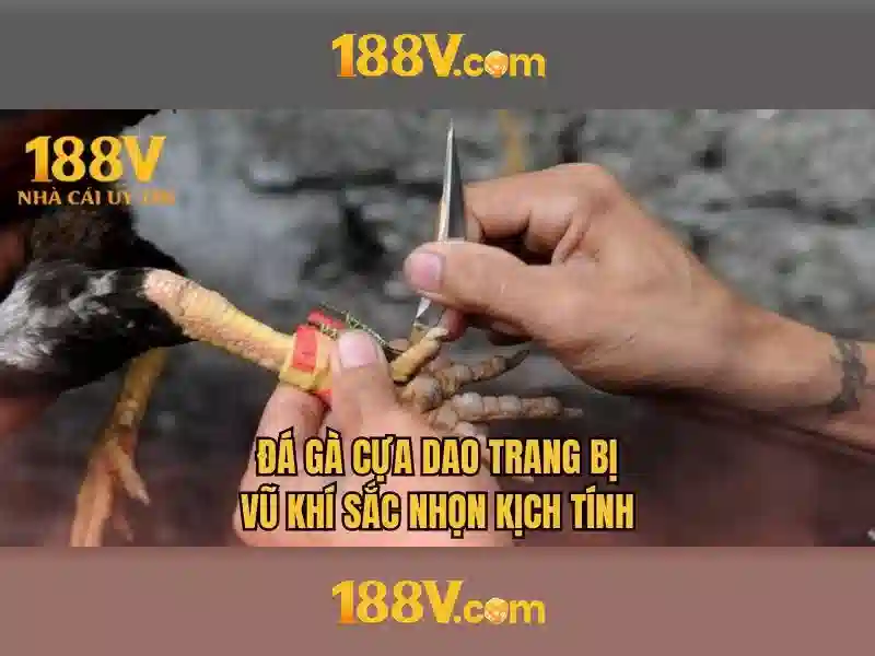 Mẹo chơi bắn cá 3 cây dễ ăn tiền nhà cái