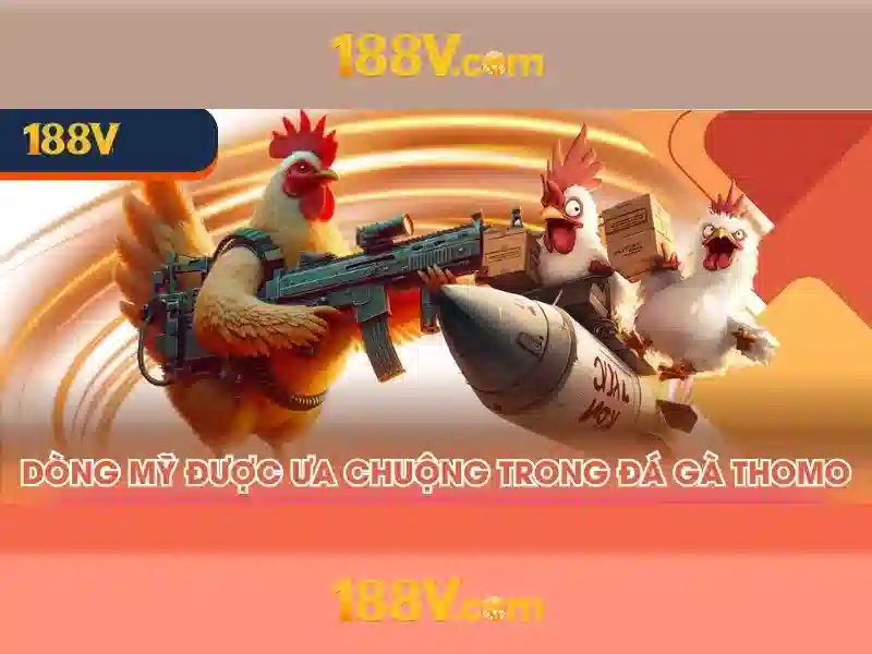 Ứng dụng và tương lai