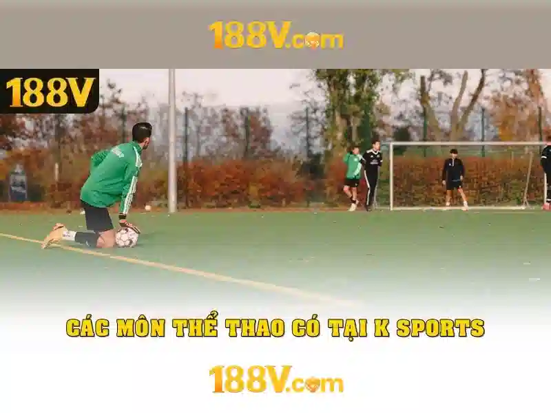 Ảnh hưởng và ý nghĩa hiện đại của 188v