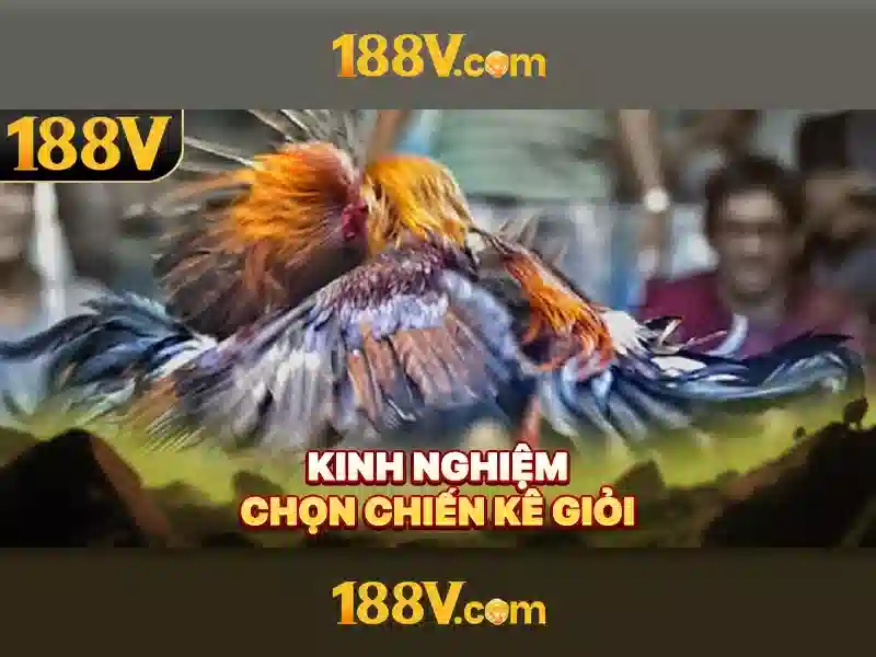 Khởi nguồn của 188v