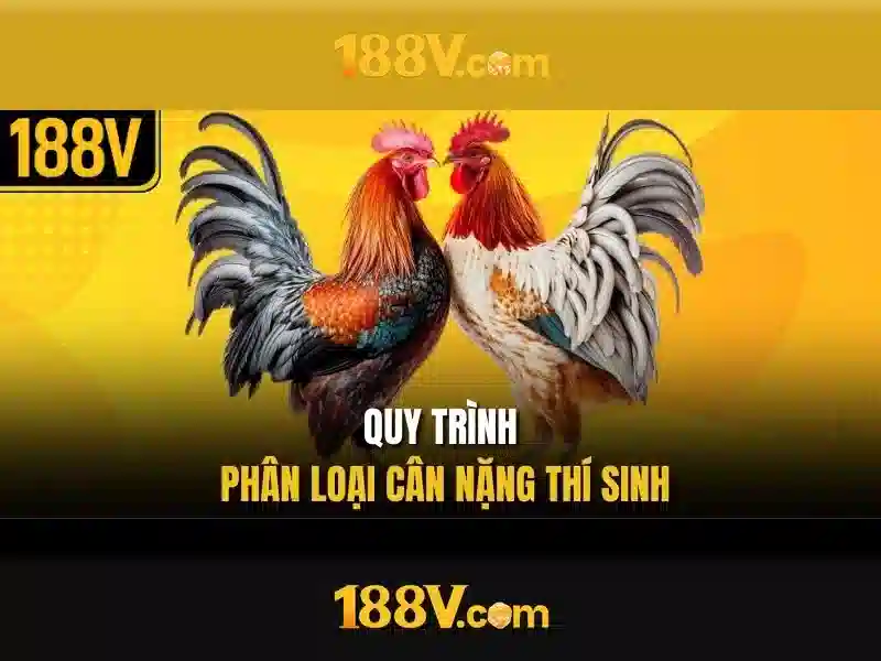 Ứng dụng và cảm nhận