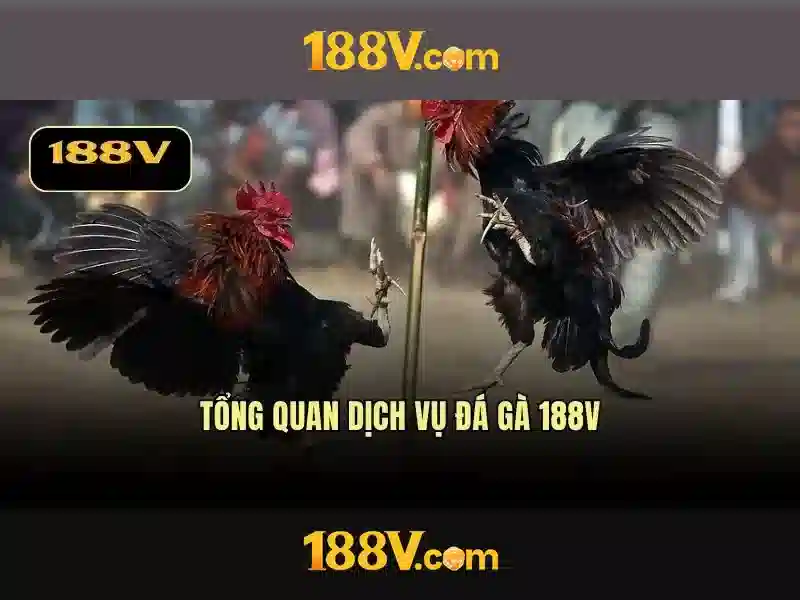 Âm thanh của màu sắc trong 188v