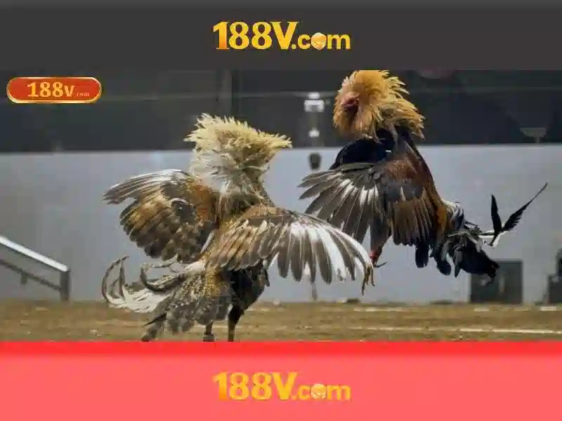 Mẹo chơi bắn cá 3 cây dễ ăn tiền nhà cái