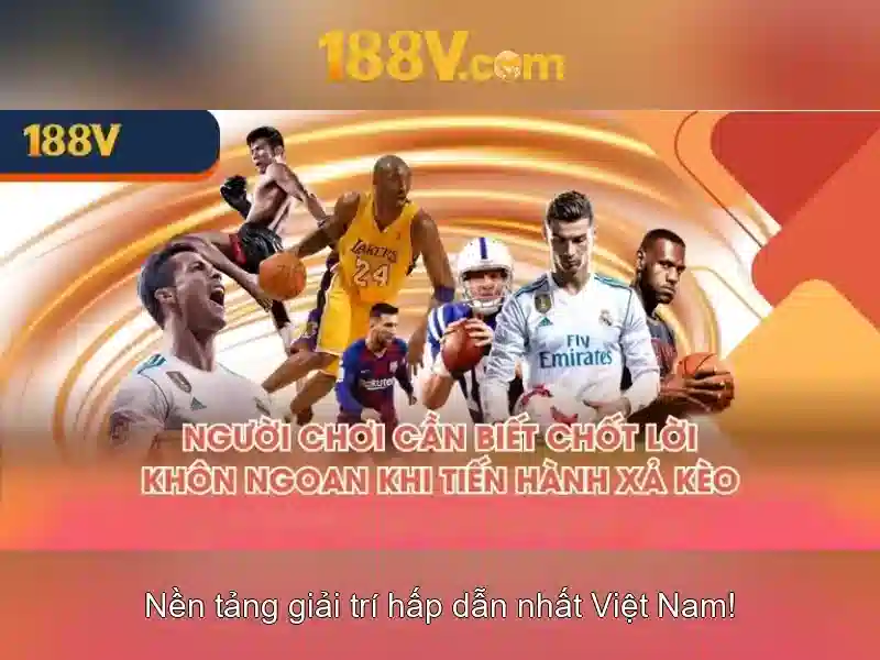 Kiến trúc và tương tác của 188v