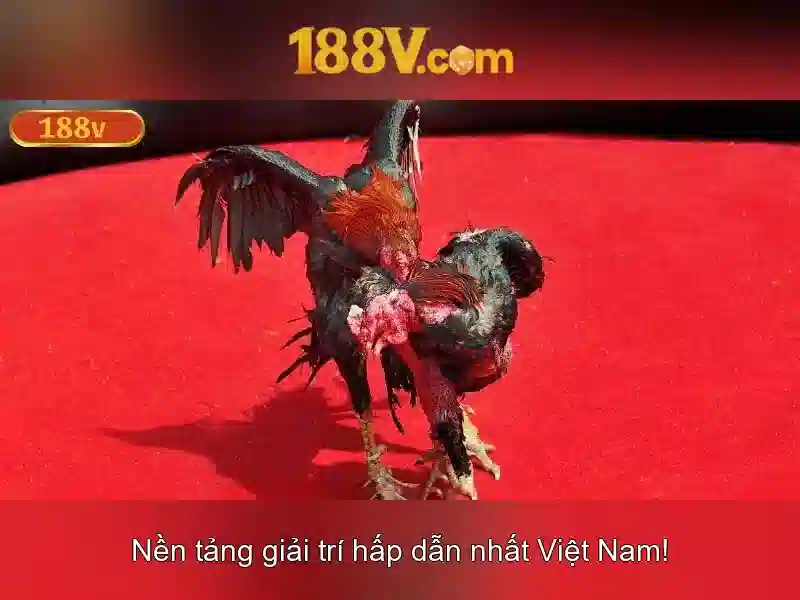 Mẹo chơi bắn cá 3 cây dễ ăn tiền nhà cái