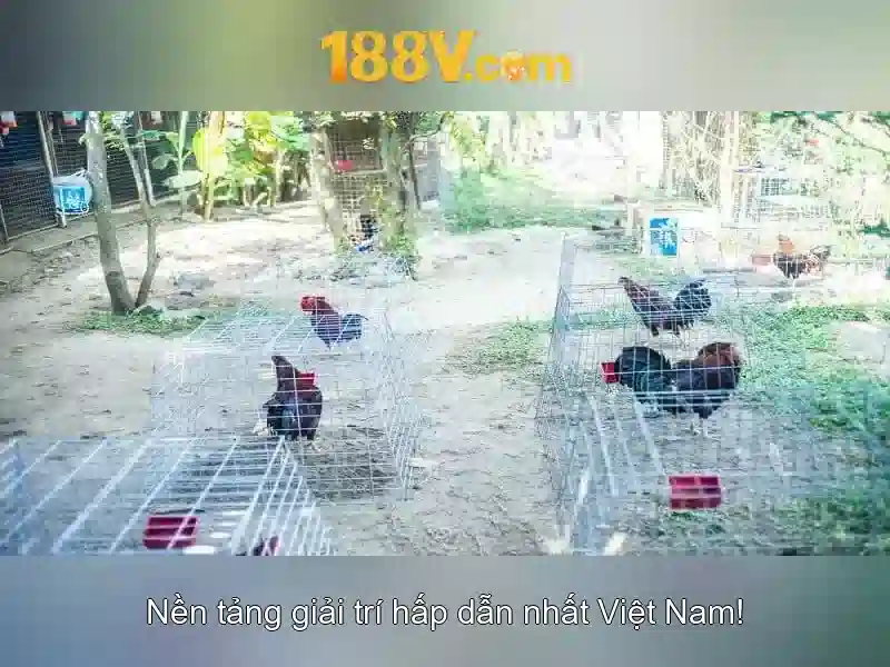 Mẹo chơi bắn cá 3 cây dễ ăn tiền nhà cái