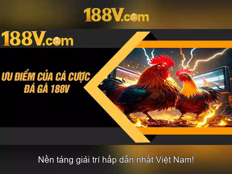 Nguồn gốc và ý nghĩa