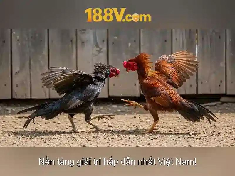 Mẹo chơi bắn cá 3 cây dễ ăn tiền nhà cái