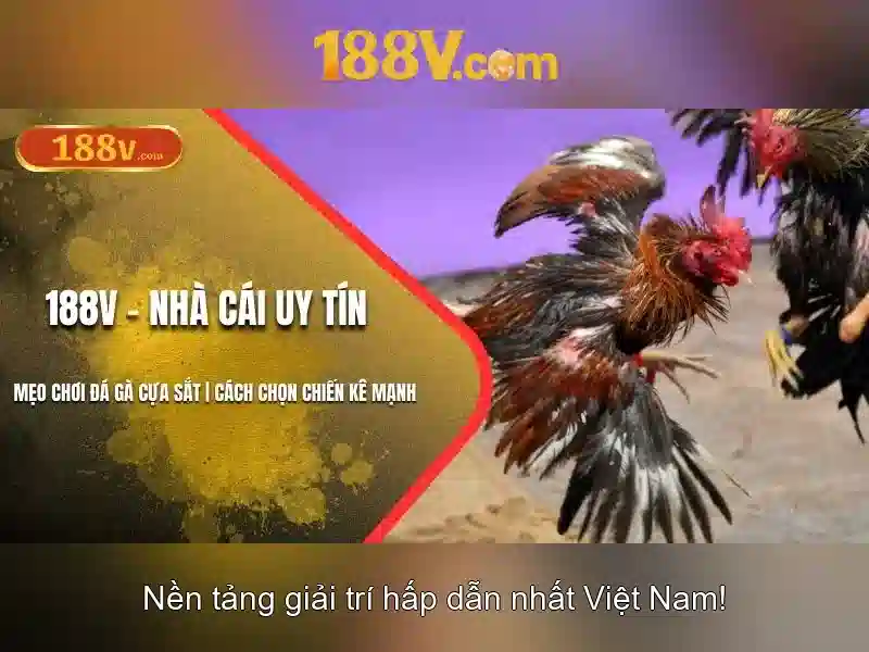 Mẹo chơi bắn cá 3 cây dễ ăn tiền nhà cái