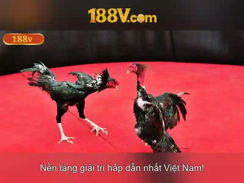 Nguồn gốc và sự phát triển