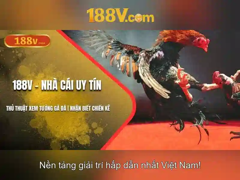 Các sản phẩm và dịch vụ của 188v .com