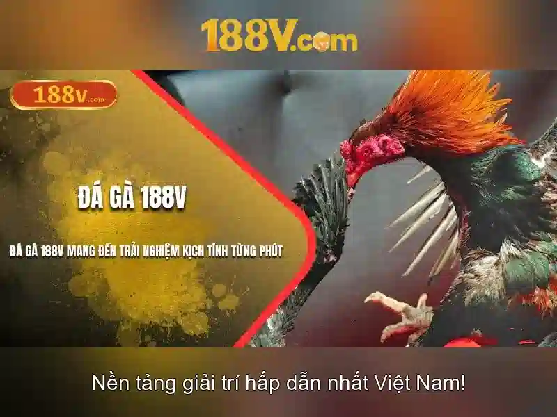 Mẹo chơi bắn cá 3 cây dễ ăn tiền nhà cái
