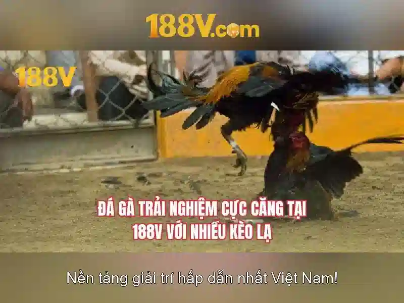Ứng dụng hiện đại của 188v trong dữ liệu và trò chơi