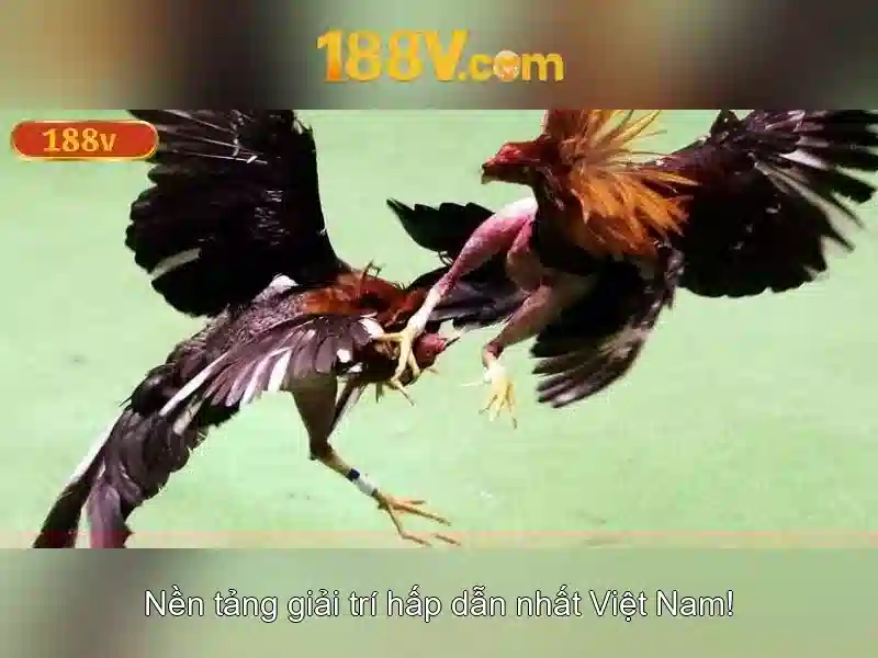 Mẹo chơi bắn cá 3 cây dễ ăn tiền nhà cái