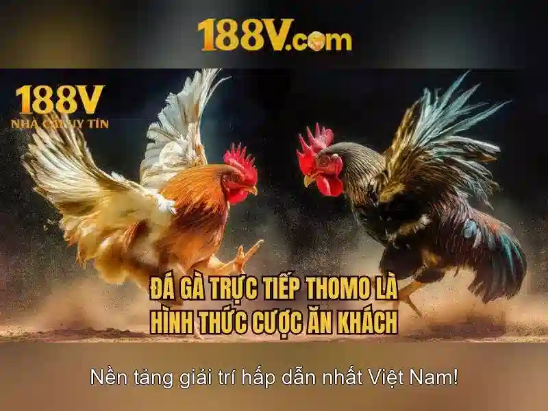 Mẹo chơi bắn cá 3 cây dễ ăn tiền nhà cái