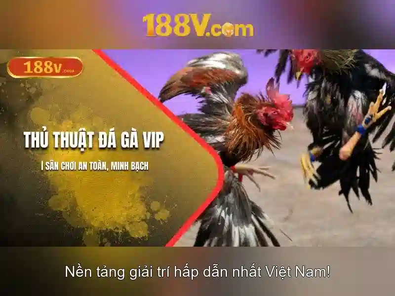 Biện pháp bảo vệ và chuẩn mực an toàn\n<h>Kết luận</h><p><span style=