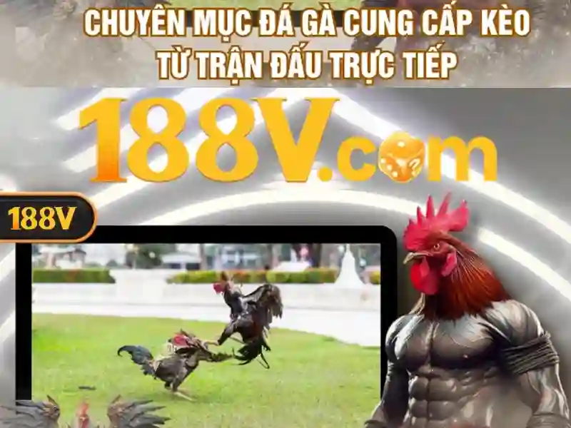 Tổng quan về 188v .com