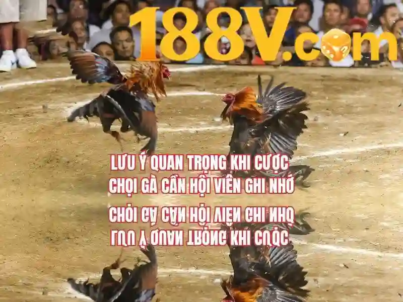 '188v an toàn không – Trải nghiệm người dùng và phản hồi'