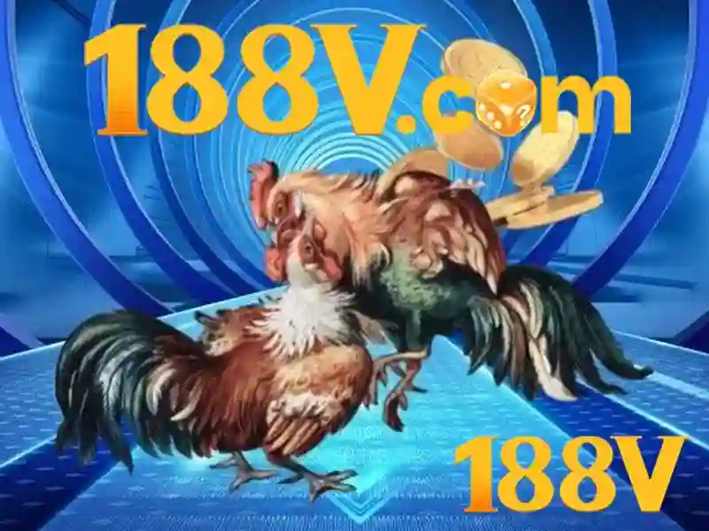 Trải nghiệm người dùng và Phản hồi cộng đồng