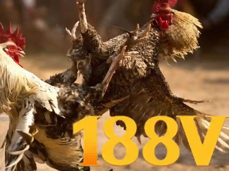 Nguồn gốc và sứ mệnh của link dự phòng 188v