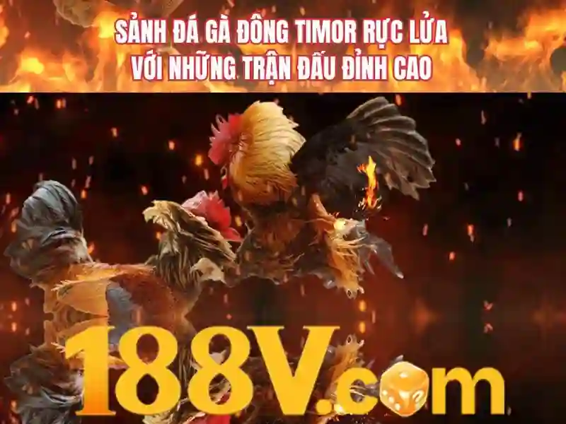 Cac san pham va dich vu cua 188v 188vv com vn