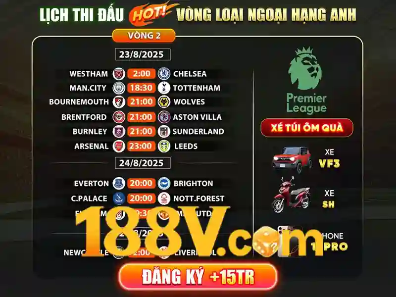 Trải nghiệm người dùng và phản hồi cộng đồng