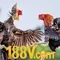 188v là gì? - Một khía cạnh của thế giới số